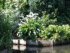 0004_PICT0004_mini.jpg