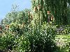 0011_PICT0009a_mini.jpg