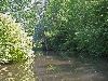 0025_PICT0018b_mini.jpg